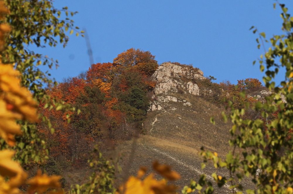 Photograph by Марина Бахтеева