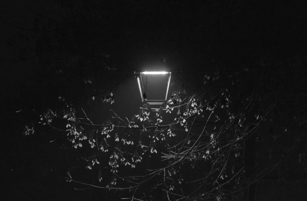 Photograph by Светлана Мельник