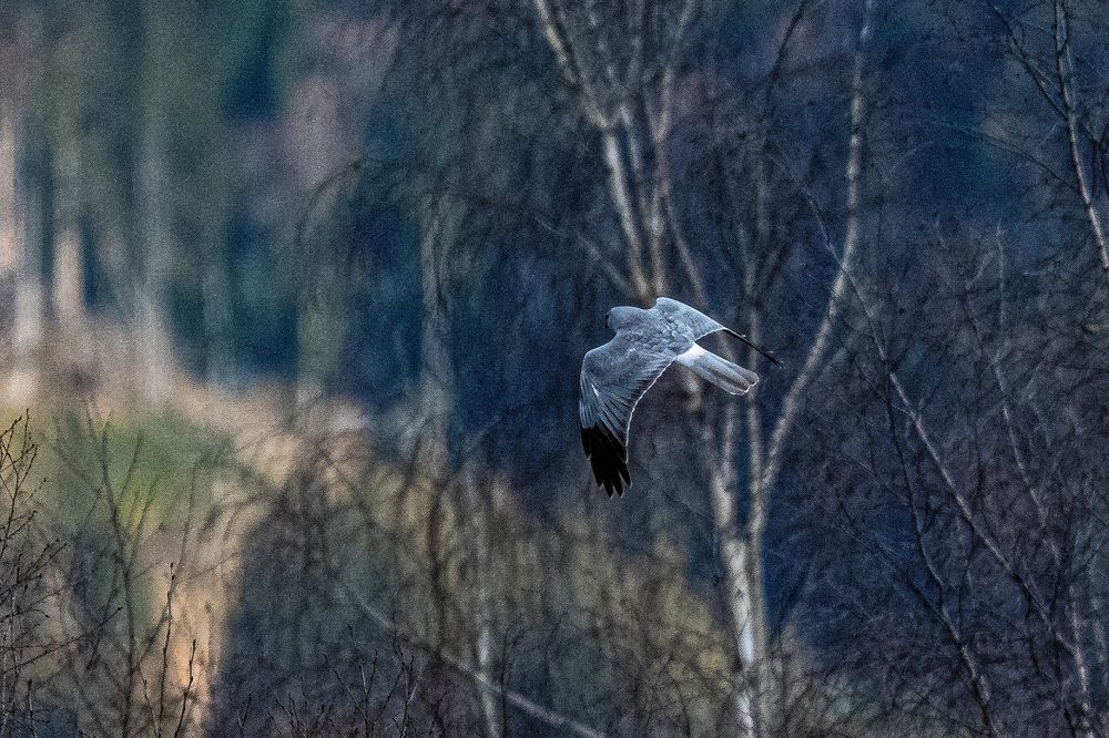 Photograph by Jozef Lepáček