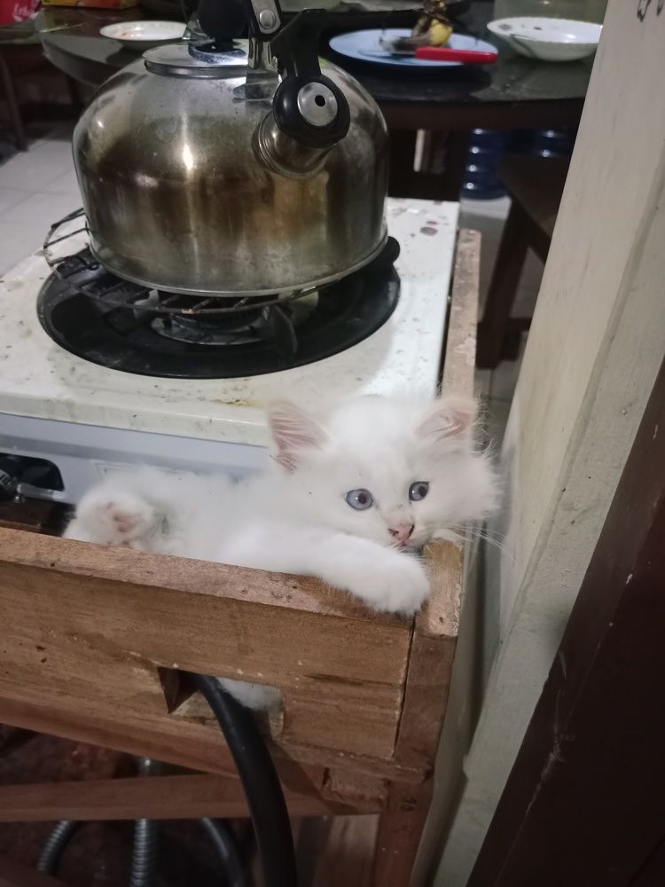 Photograph by prasanty Widiawaty