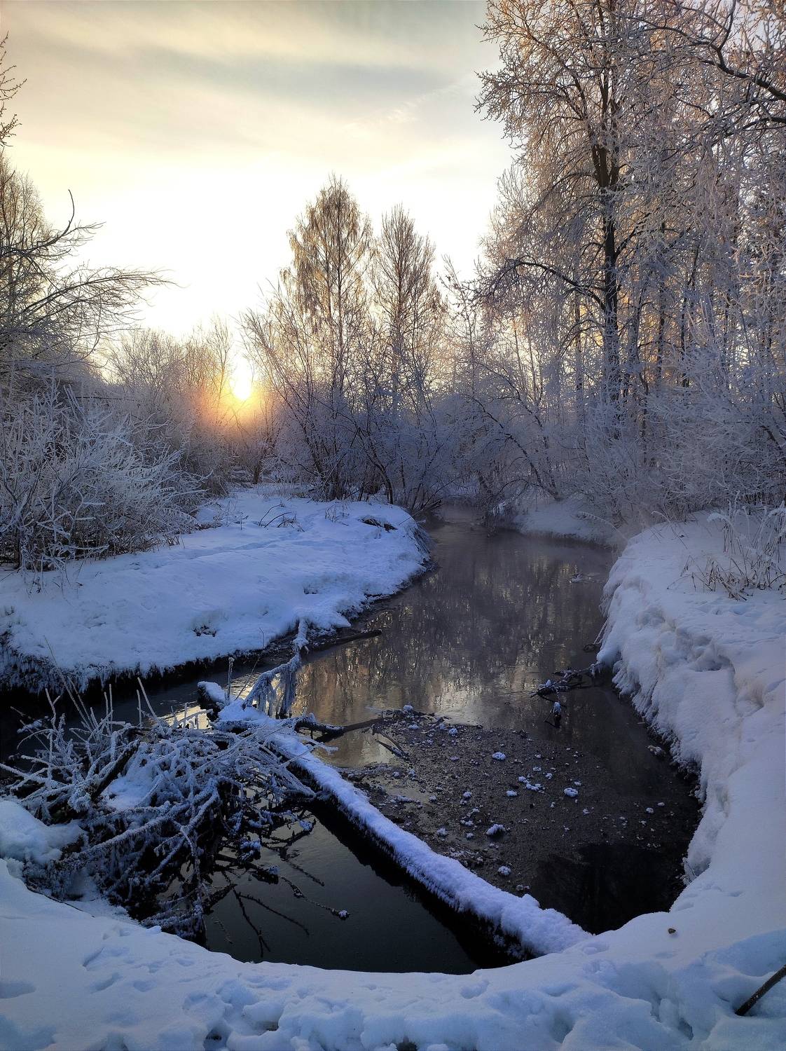 Photo #9069011
