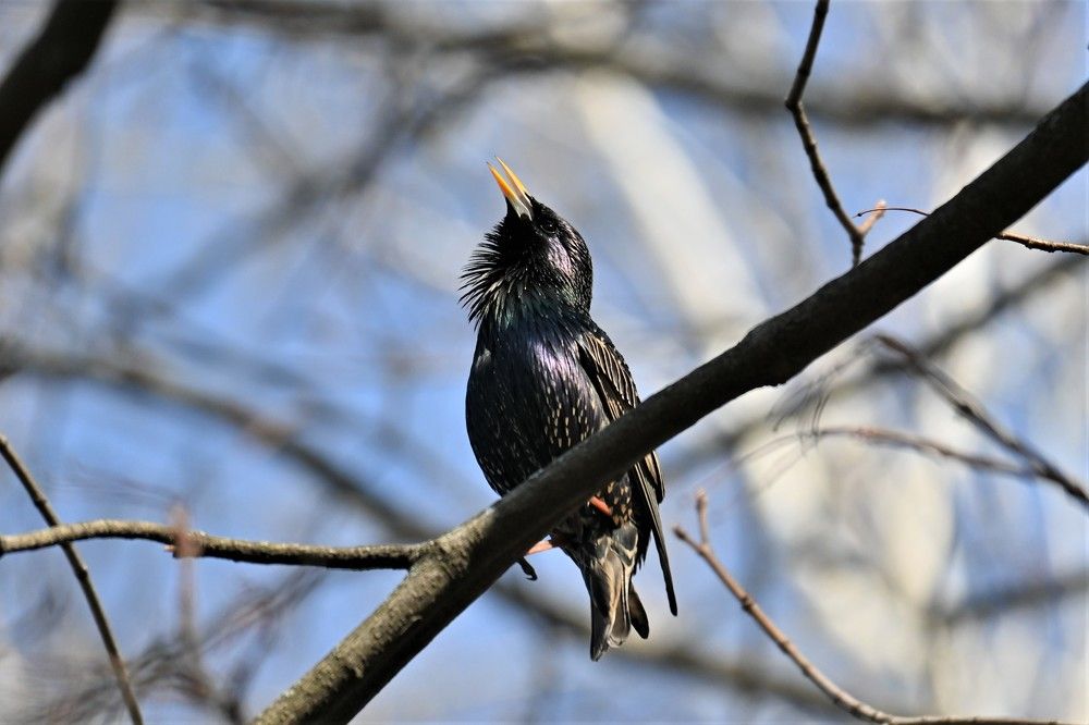 Фотография автора IRINA FILIPPOVA