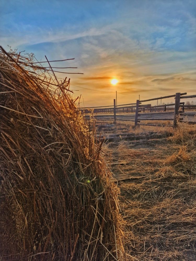 Photograph by Елена Федоткина