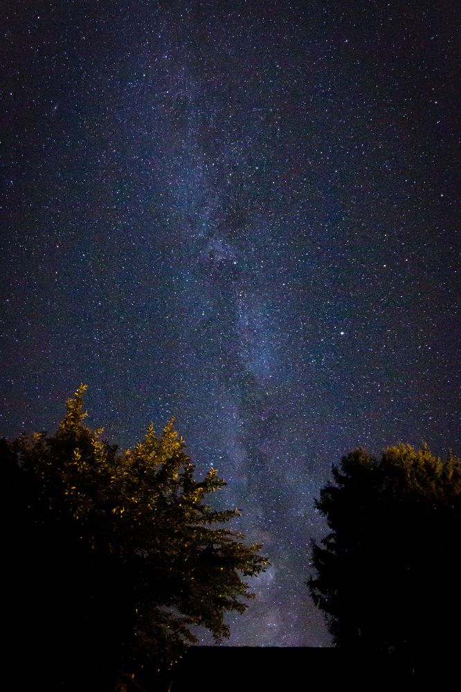 Фотография автора Minja Jovetic