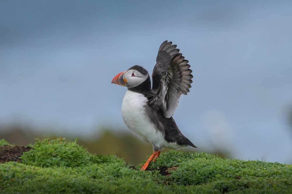 Photograph by Luke Hogan - Smith