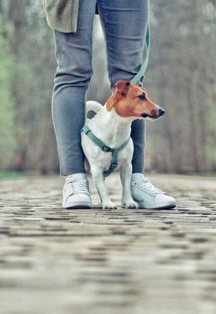 Photograph by Валерия Гарбуз