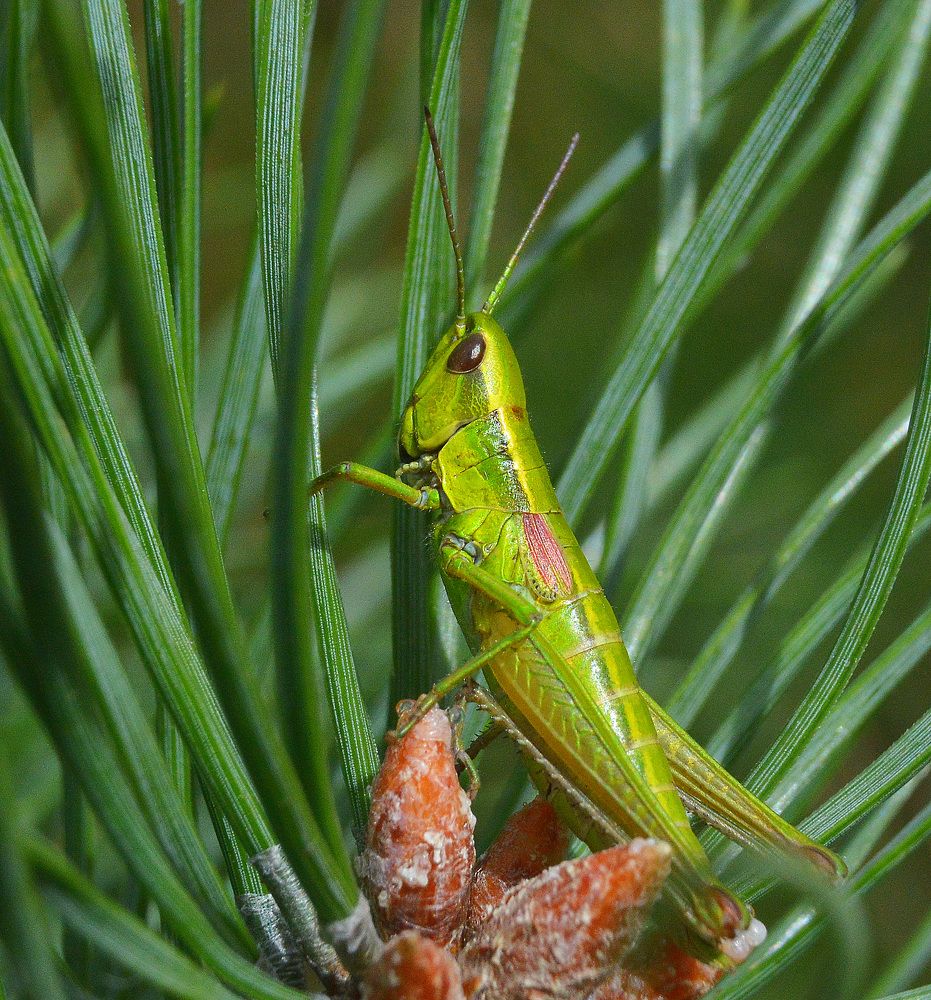 Уходя от житейских забот.