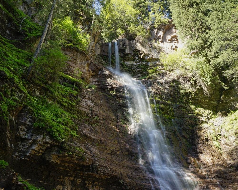 Фотография автора Татьяна Добровольская
