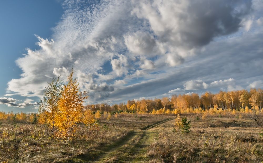 Photograph by Валерий Туманов