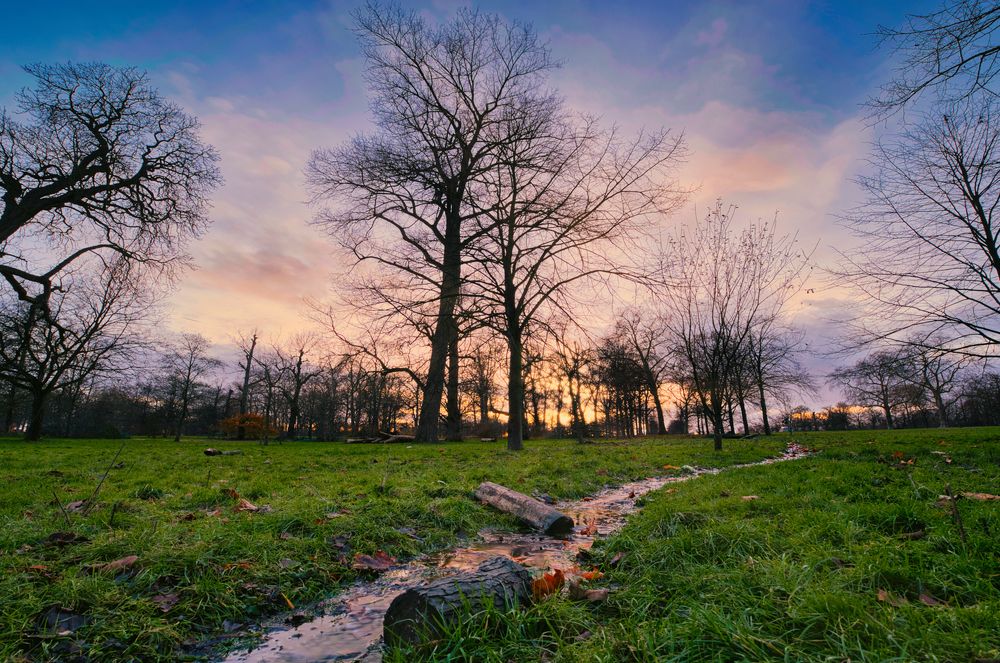 Photograph by Abdullah Al Battah