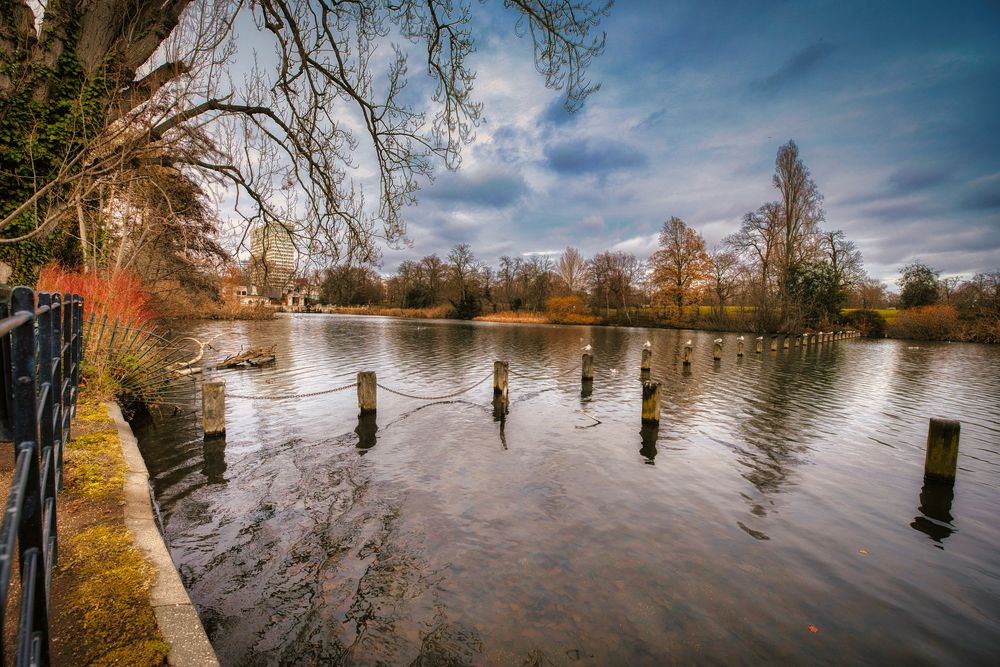 Photograph by Abdullah Al Battah