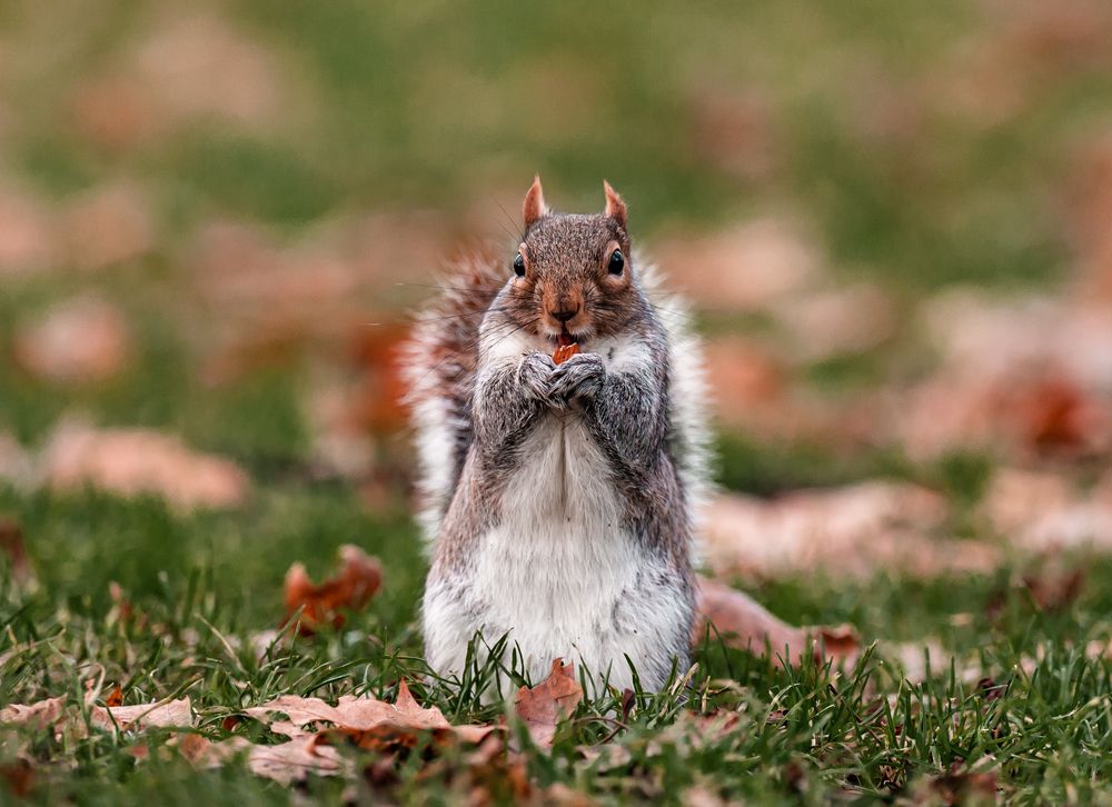 Photograph by Abdullah Al Battah