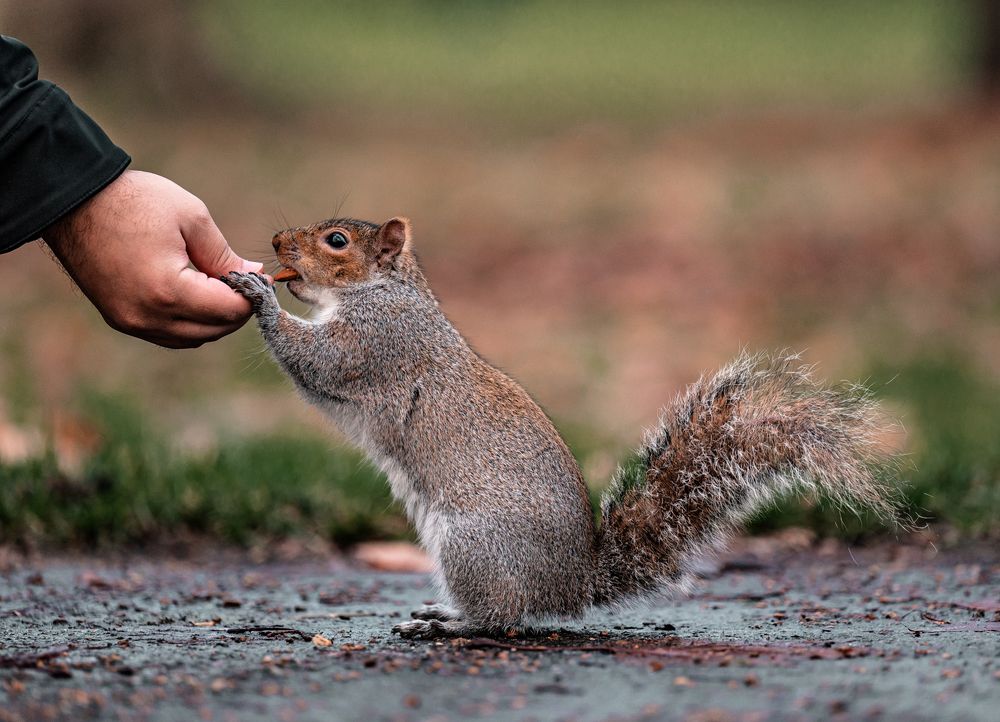 Photograph by Abdullah Al Battah