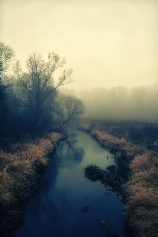 Фотография автора Алиса Дресвянникова