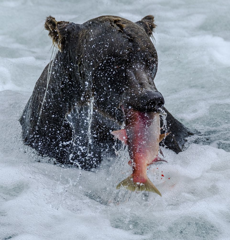 Photograph by Семен Шустер