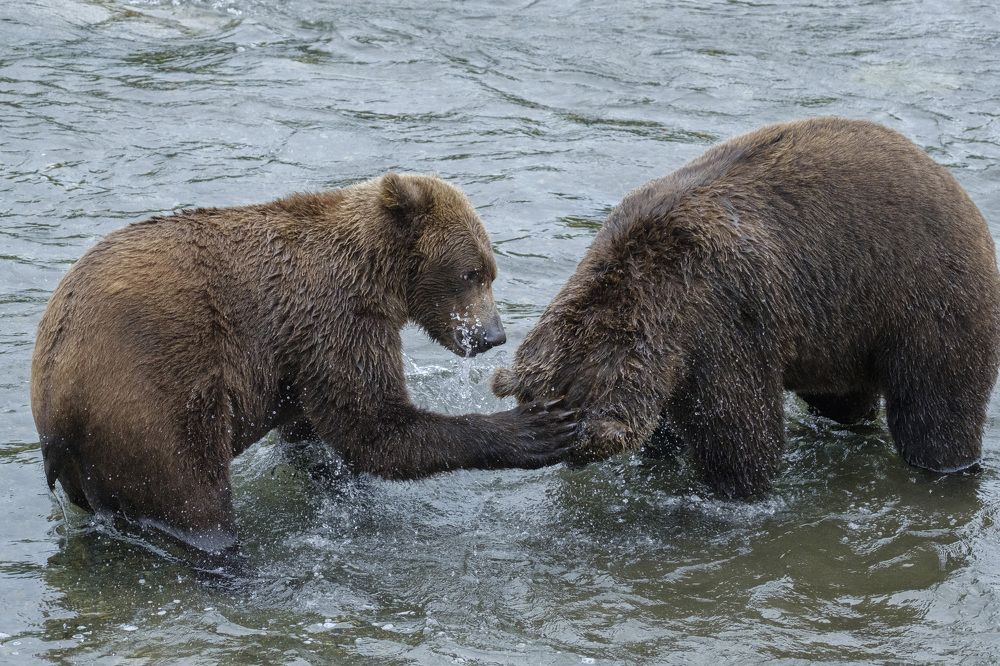 Photograph by Семен Шустер