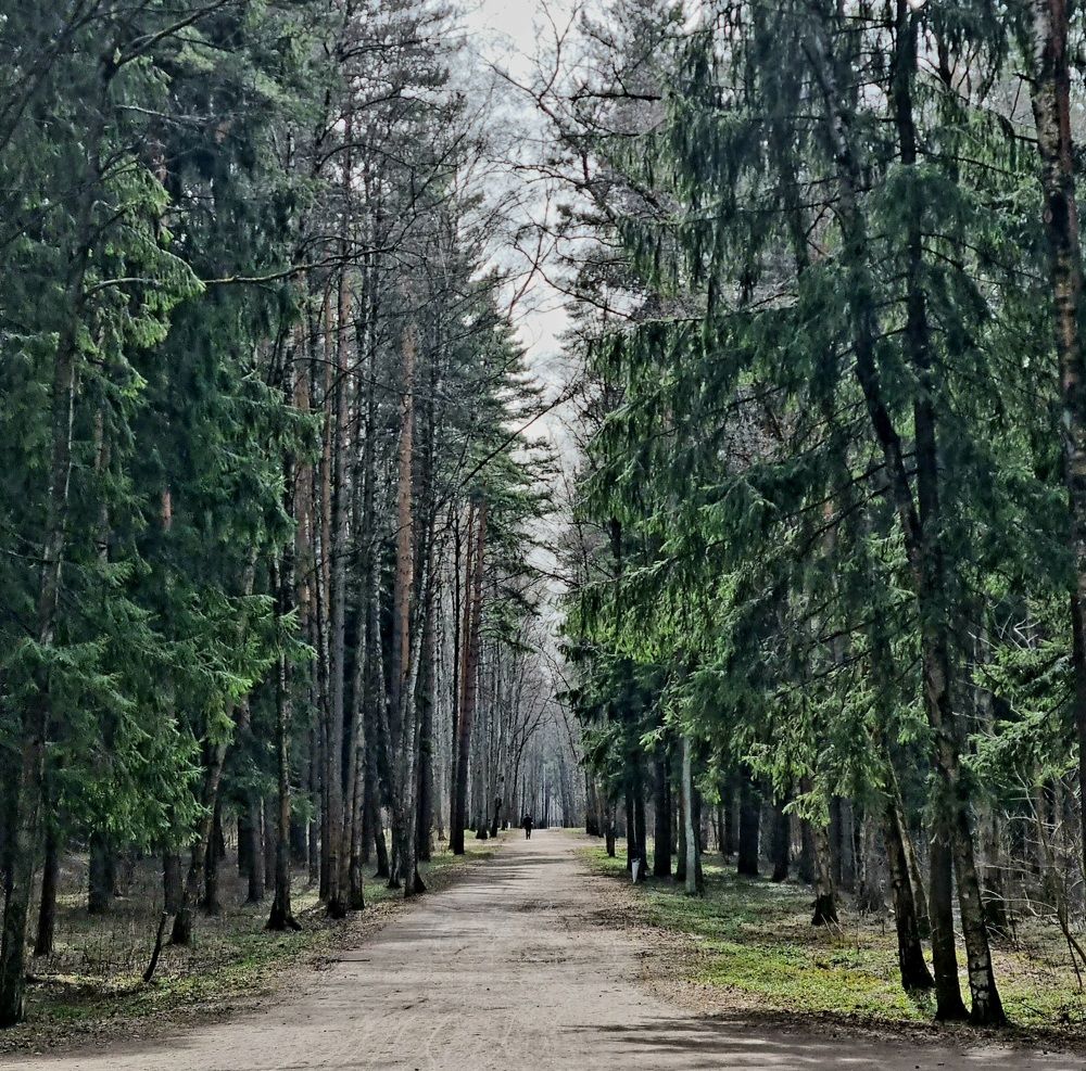 Photograph by Юрий Викторович