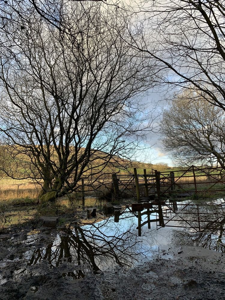 Photograph by Maria Dzene