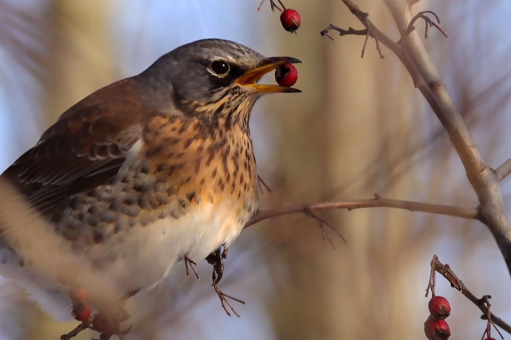 Photograph by Алексей