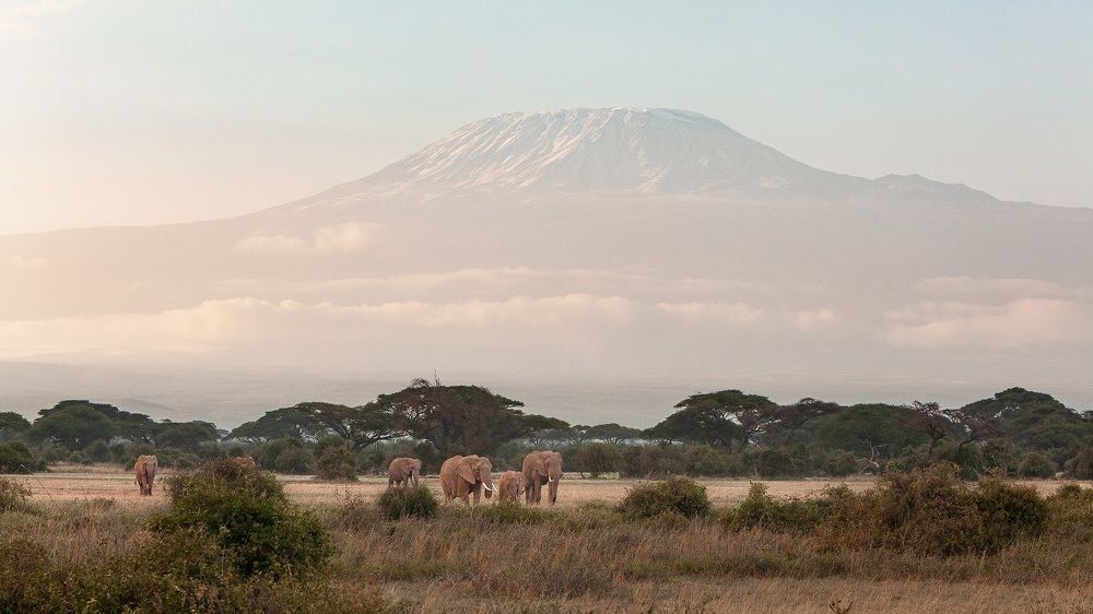 Фотография автора Anne Gabrielle Mougin