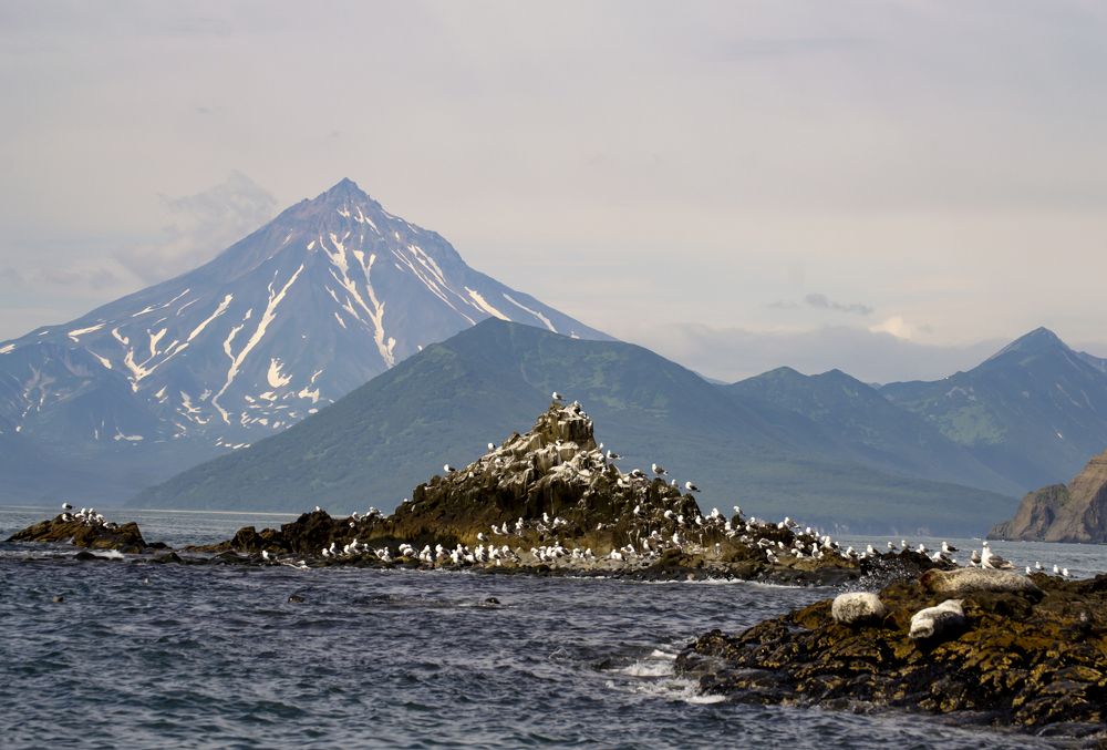 Photograph by Татьяна Решетникова