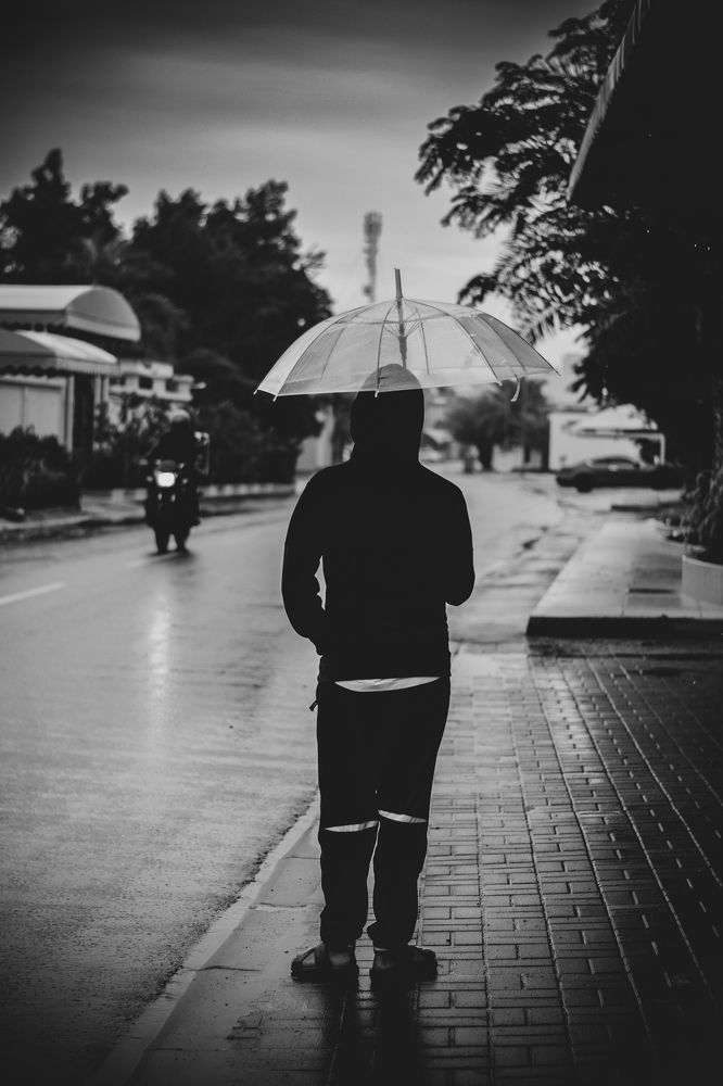 Фотография автора elias al sairafi