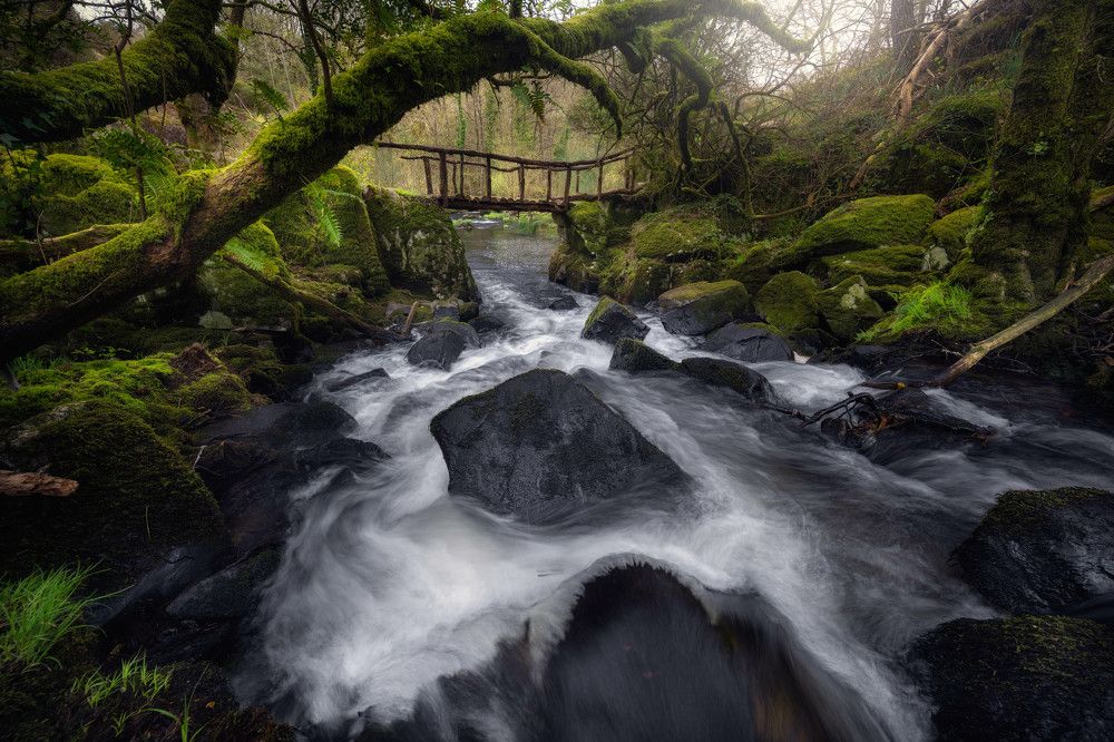 Photograph by Alfonso Maseda Varela