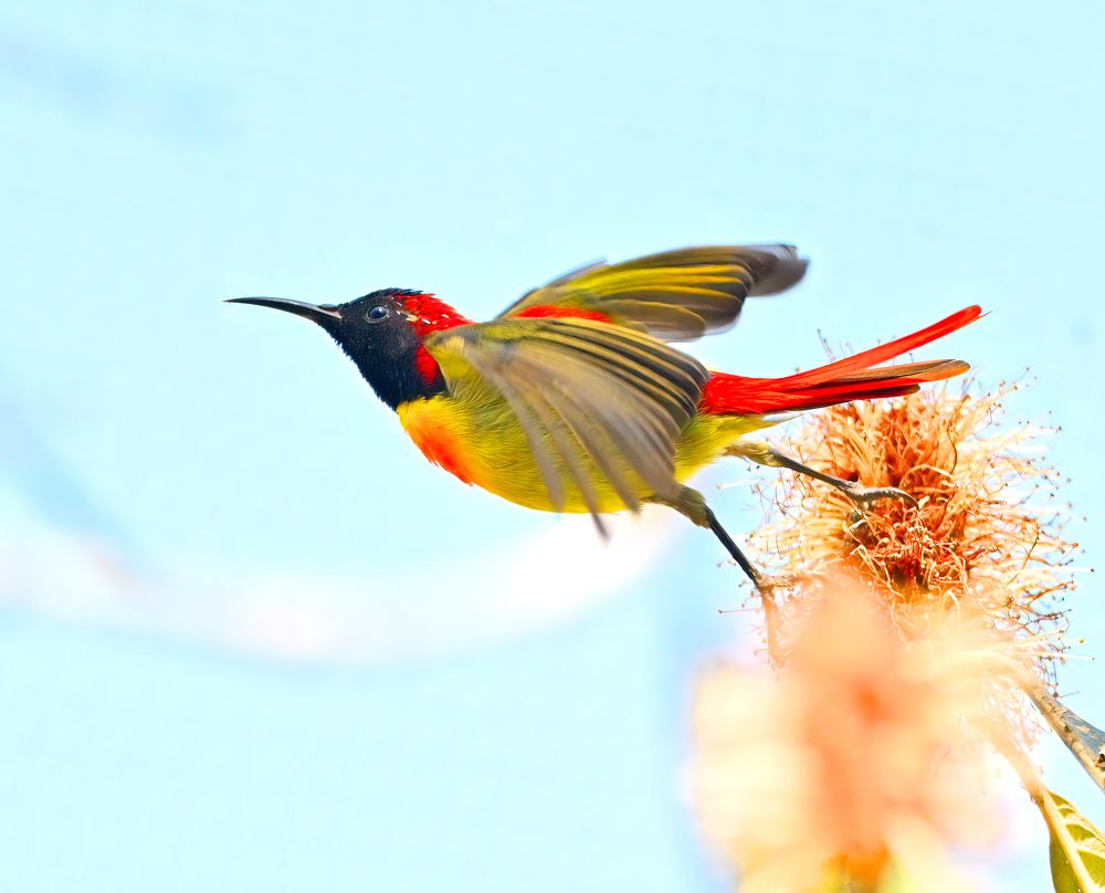 Photograph by Abhishek Manna