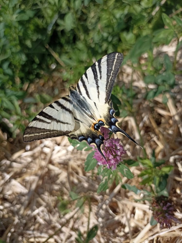 Photograph by Ольга Стариченко