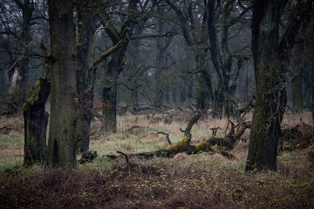 Фотография автора Lada