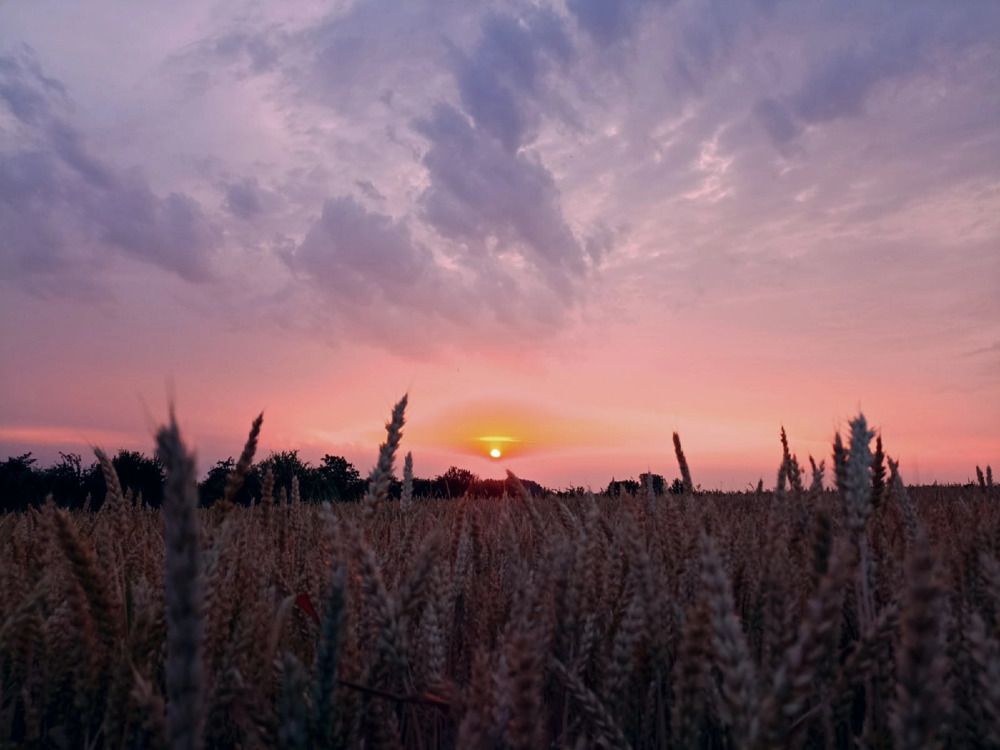 Photograph by Ольга Стариченко