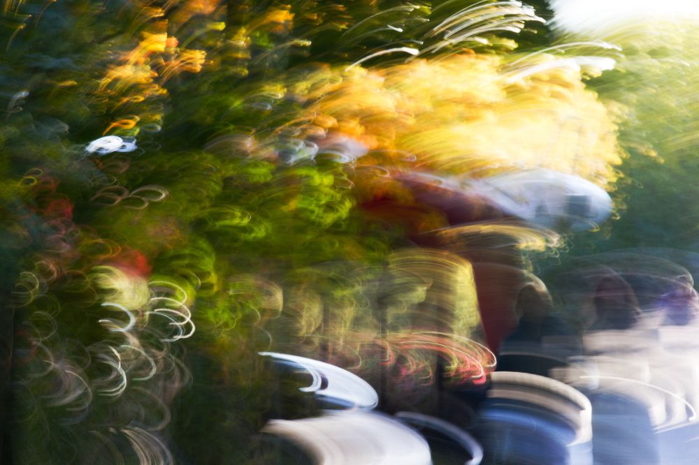 Летучая осень