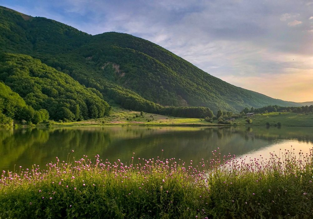 Photograph by amir shadpoor