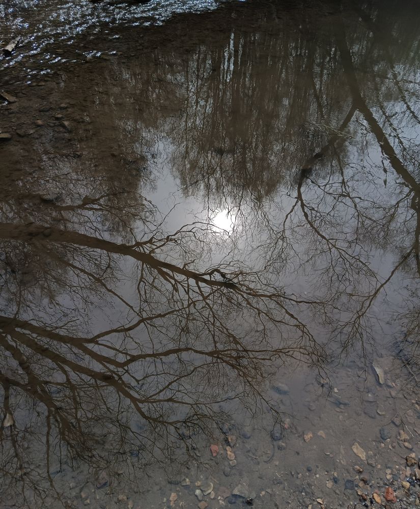 Photograph by Наталья