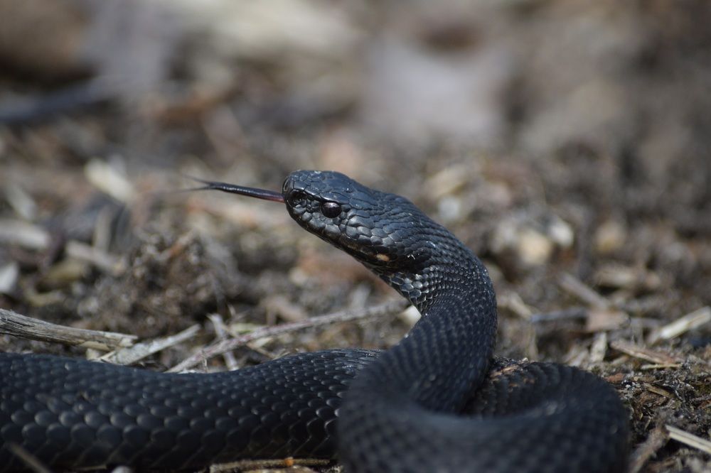 Photograph by Андрей Головин