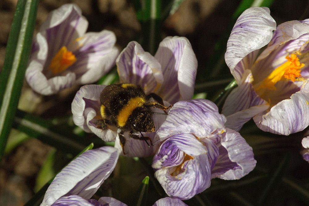 Photograph by Veretina Yroslava