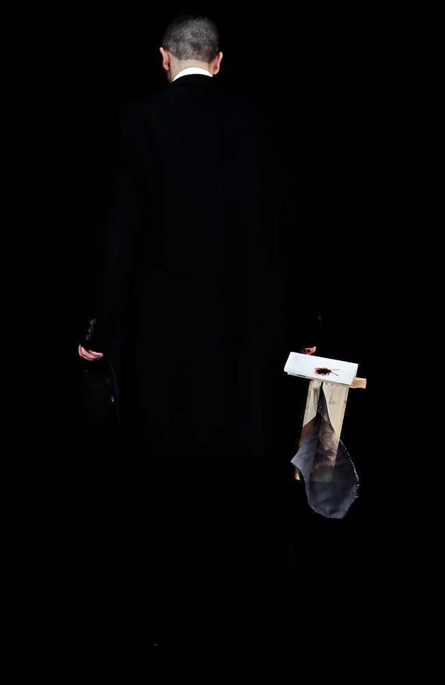 Gregor's  alienation