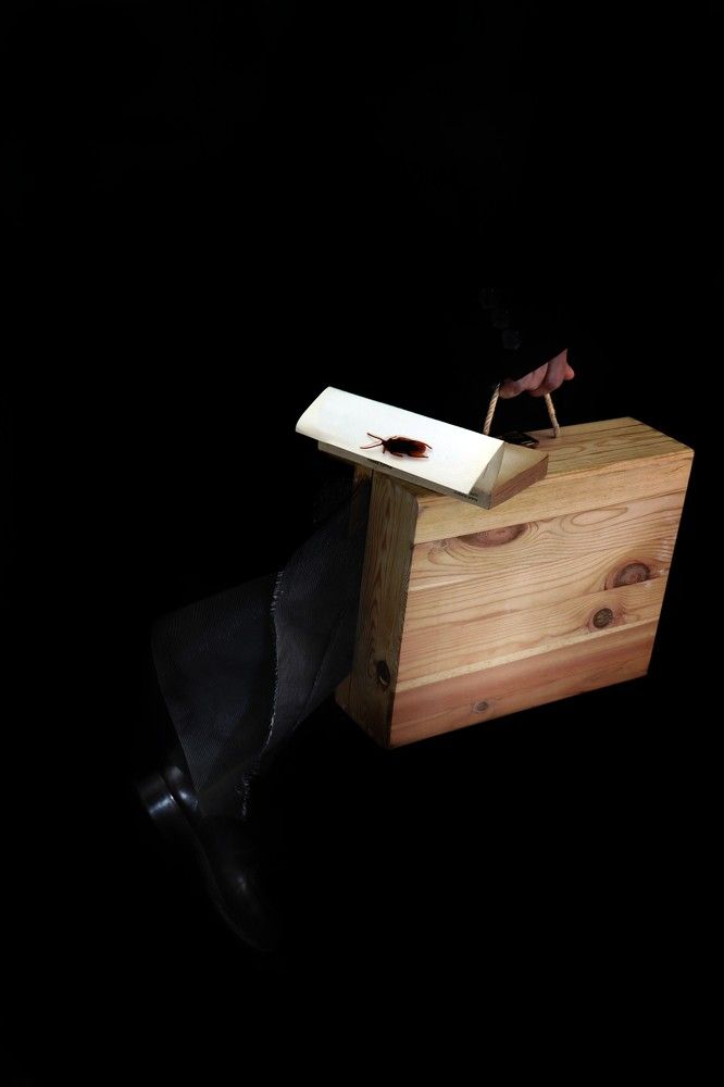 Gregor's  alienation