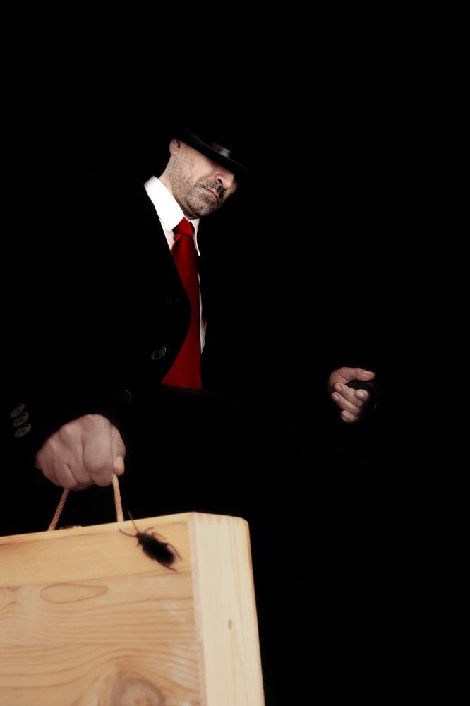 Gregor's  alienation