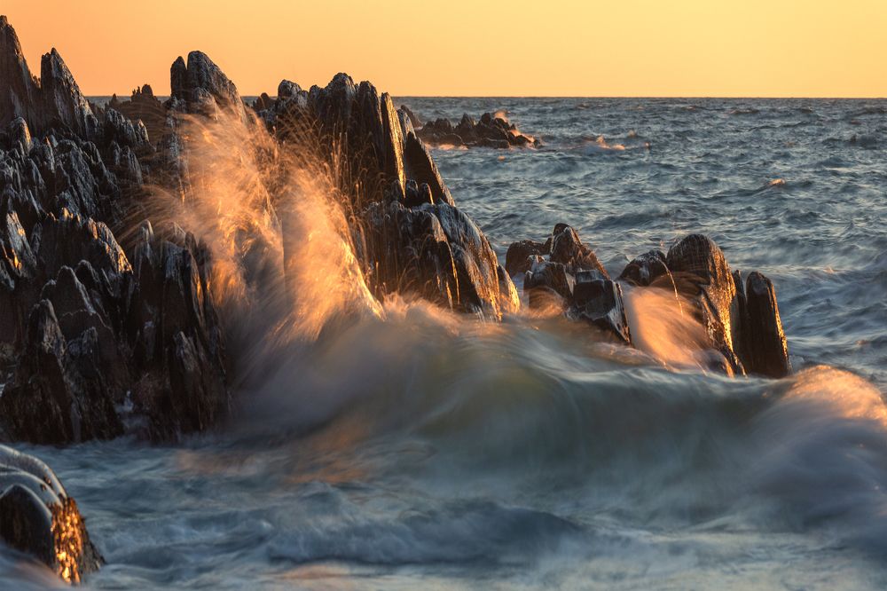 Photograph by Крицак Ольга