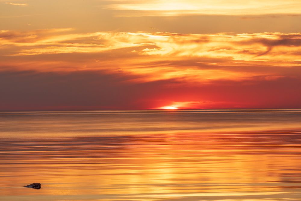 Photograph by Крицак Ольга