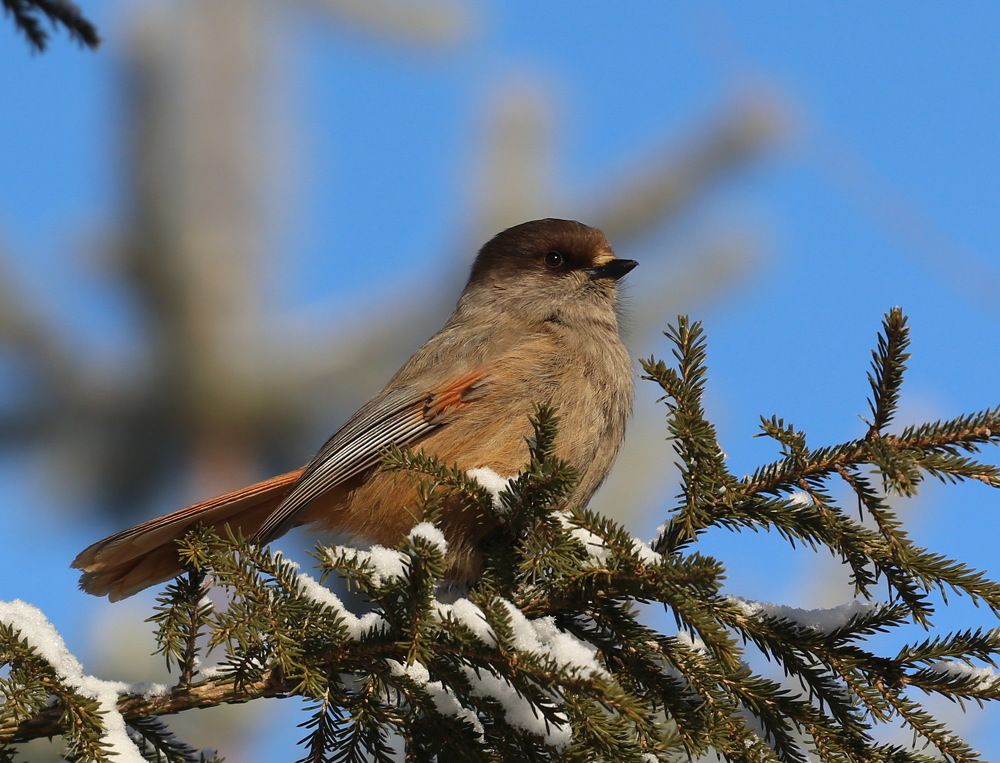 Photograph by Марина Бахтеева