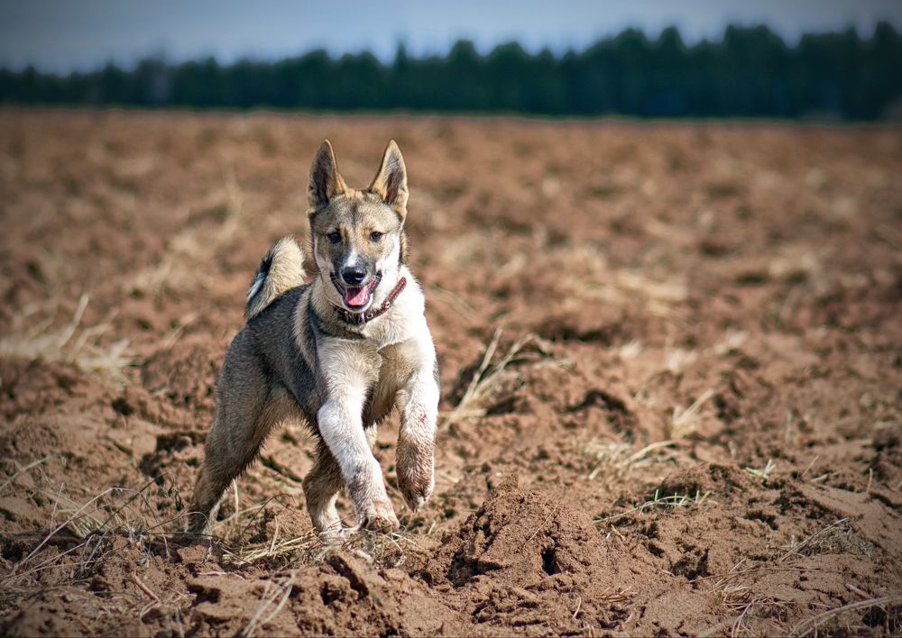 Photograph by Юрий Митенёв