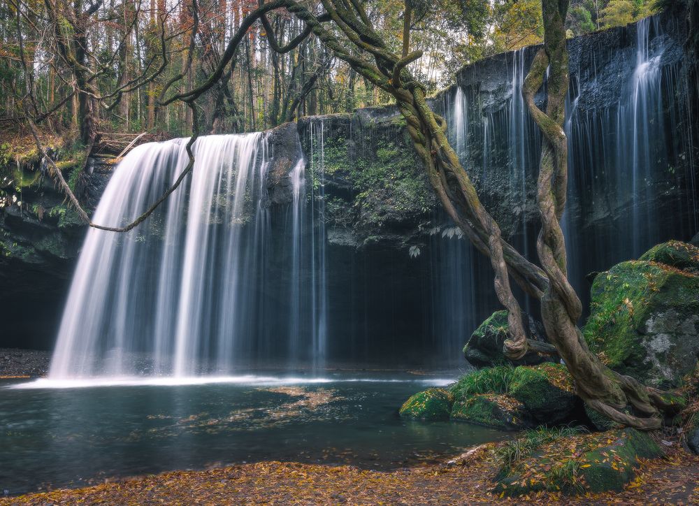 Photograph by Anh Vũ Nguyễn