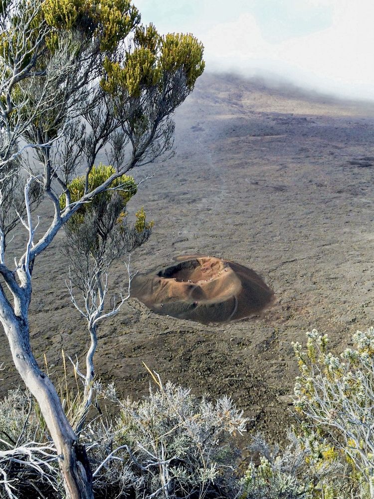 Photograph by Christine ECHEVET-ADAM de VILLIERS