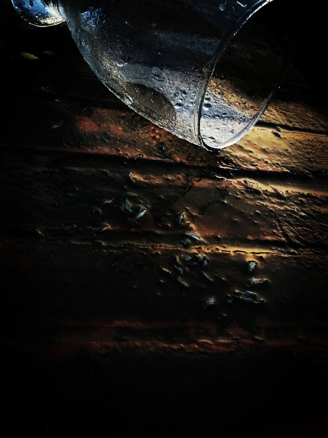 Photo #9070671