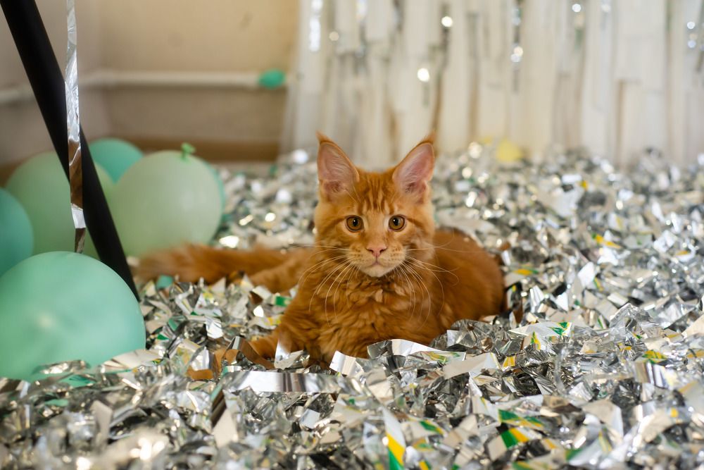 Photograph by Светлана Субботина