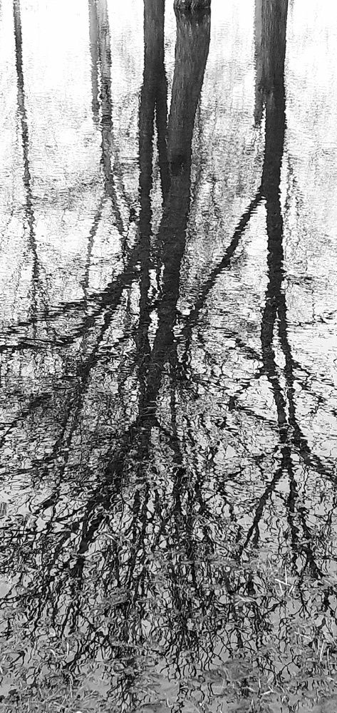 Photograph by Евгения Ульянова