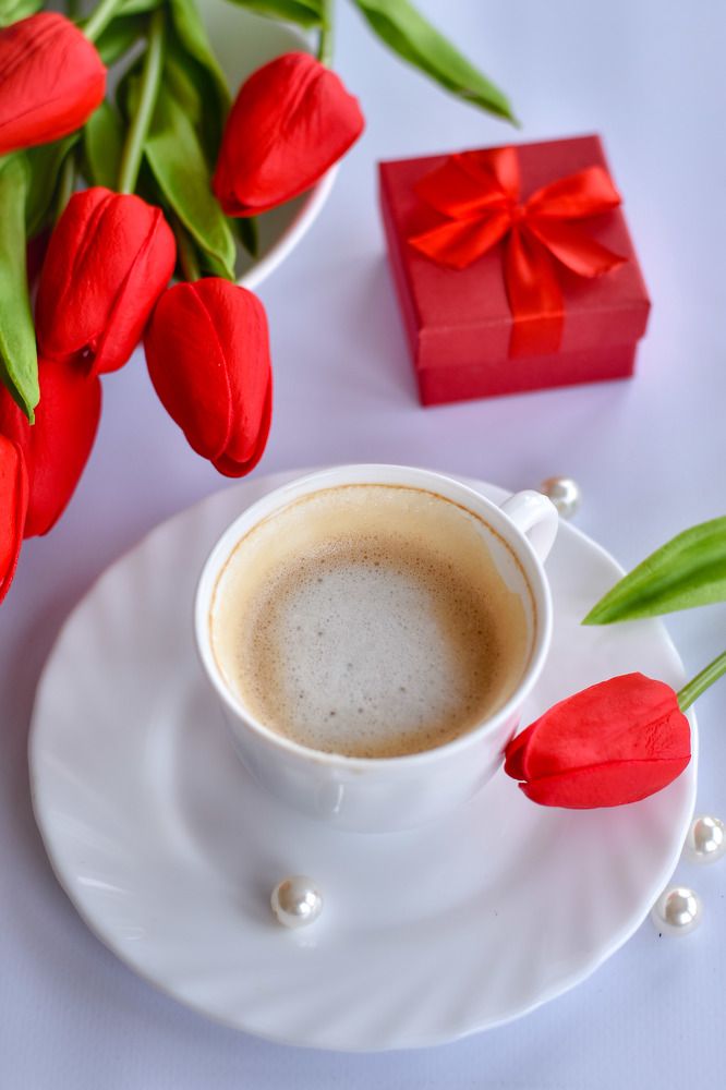 Photograph by Анастасия Витязева