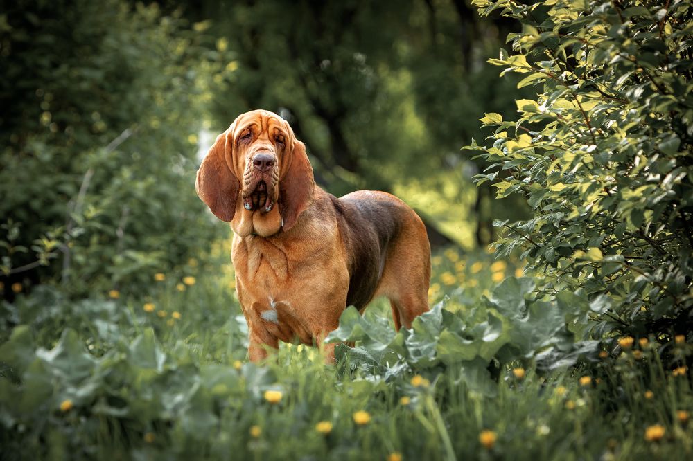 Фотография автора Евгения Глинская